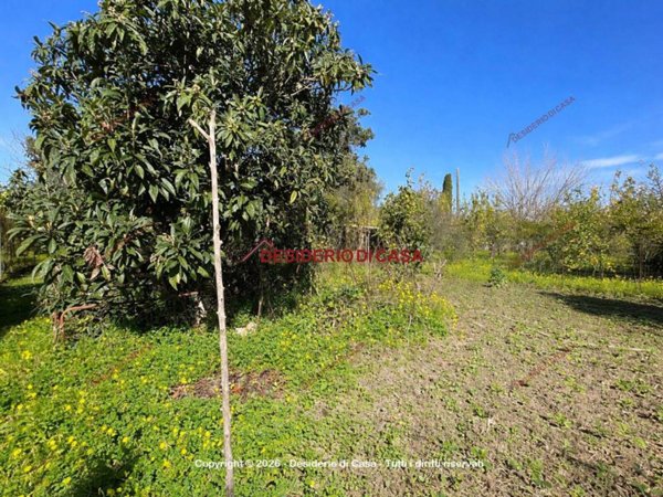 terreno agricolo in vendita a Capo d'Orlando