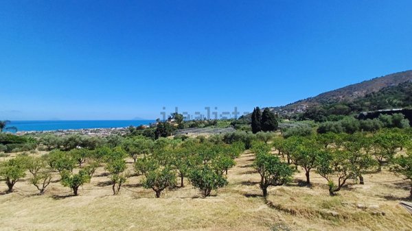 terreno agricolo in vendita a Capo d'Orlando
