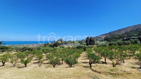 terreno agricolo in vendita a Capo d'Orlando