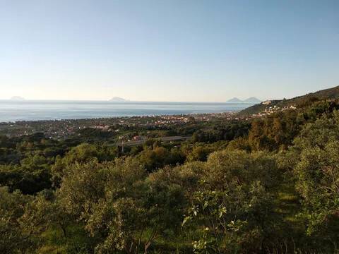 terreno agricolo in vendita a Capo d'Orlando