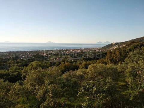 terreno agricolo in vendita a Capo d'Orlando