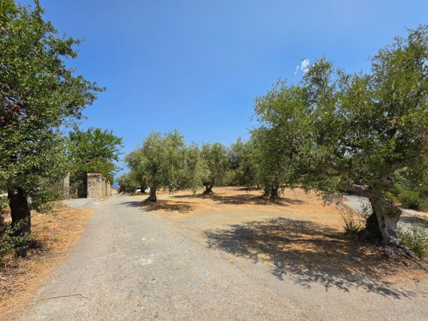 terreno in vendita a Capo d'Orlando