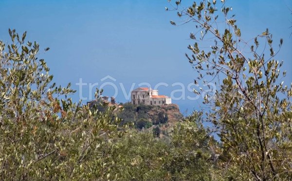 terreno agricolo in vendita a Capo d'Orlando
