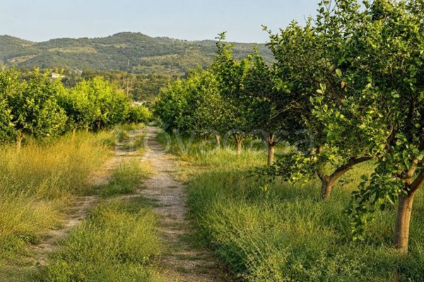 terreno agricolo in vendita a Capo d'Orlando