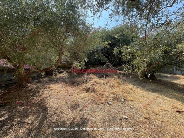 terreno agricolo in vendita a Capo d'Orlando