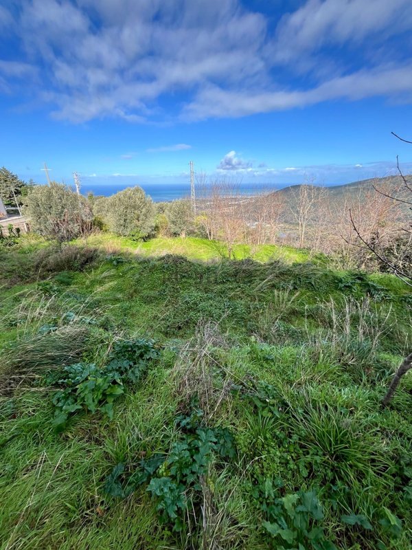 terreno agricolo in vendita a Capri Leone