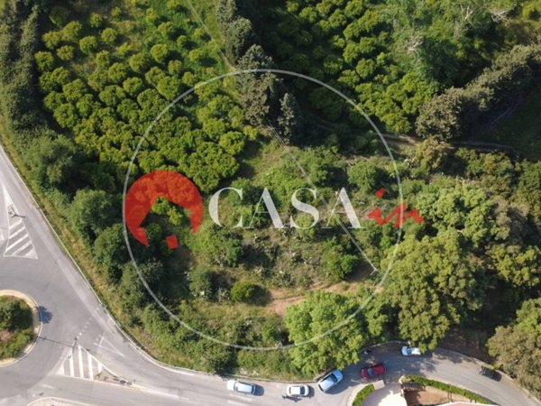 terreno agricolo in vendita a Capri Leone