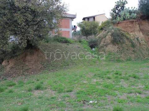 terreno agricolo in vendita a Capri Leone