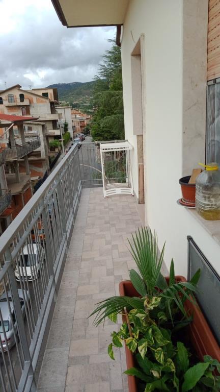 appartamento in vendita a Capri Leone