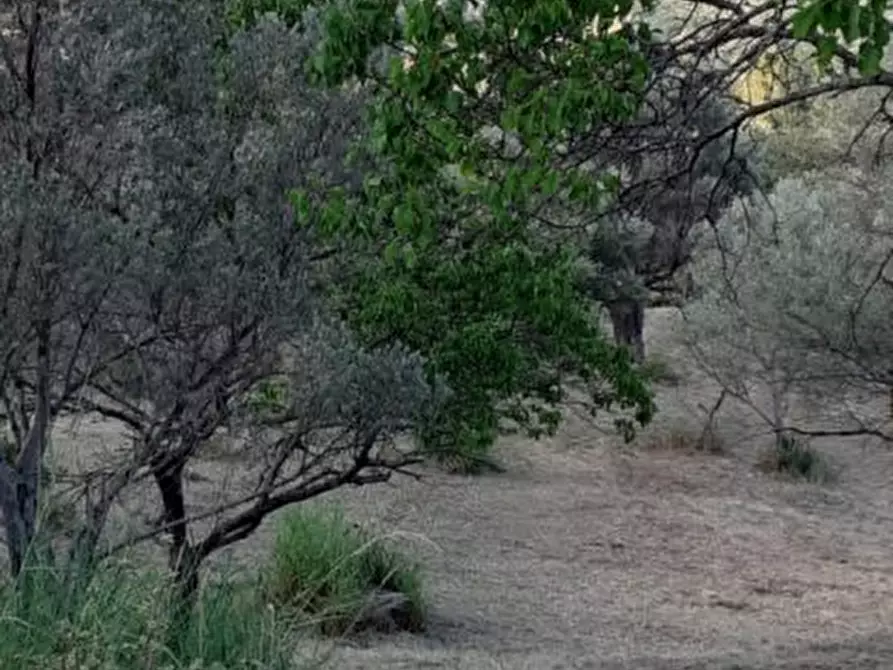 appartamento in vendita a Caronia