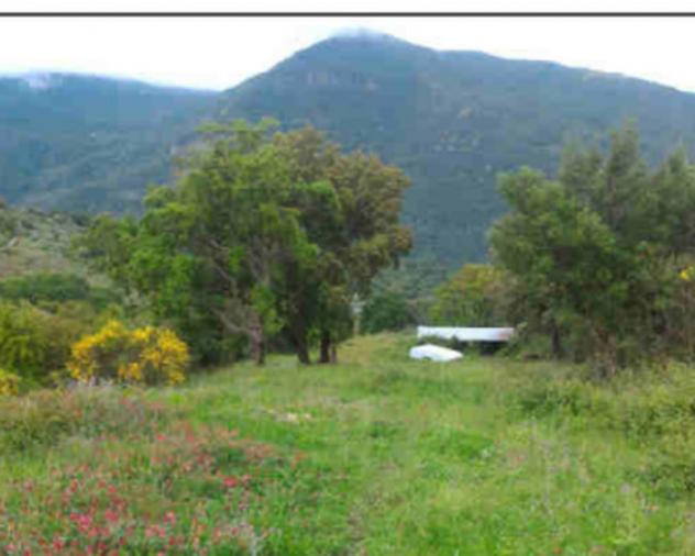 terreno agricolo in vendita a Caronia