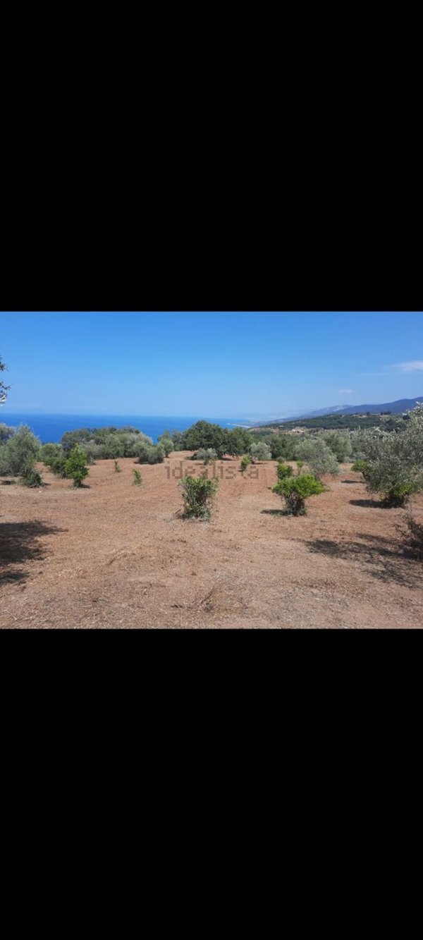 appartamento in vendita a Caronia