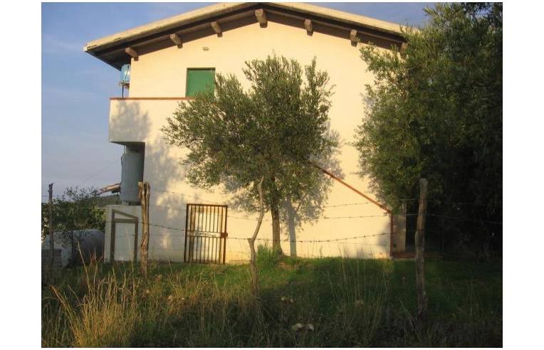 terreno agricolo in vendita a Caronia