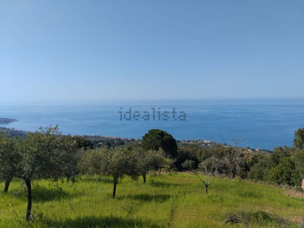 terreno agricolo in vendita a Caronia
