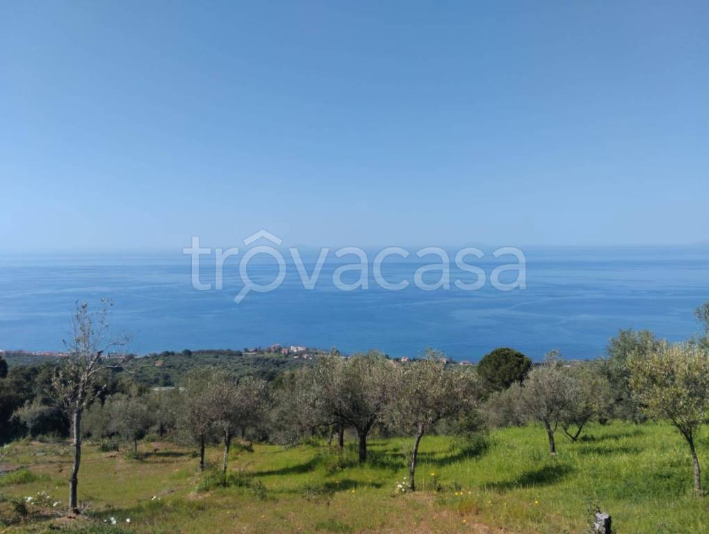 terreno agricolo in vendita a Caronia