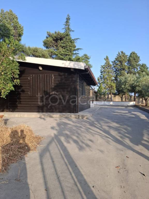 terreno agricolo in vendita a Casalvecchio Siculo