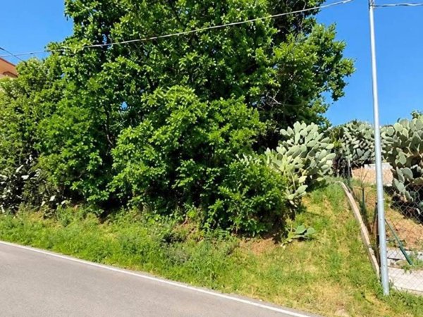 terreno agricolo in vendita a Castell'Umberto in zona Carnevale