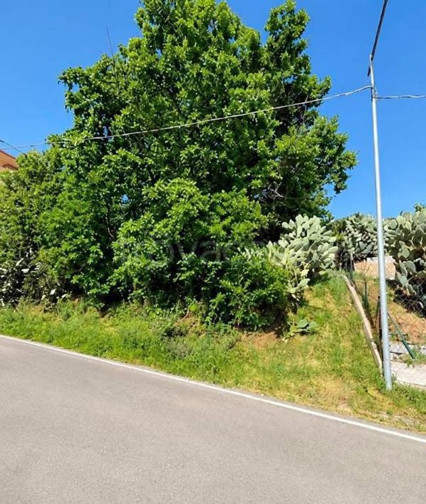 terreno agricolo in vendita a Castell'Umberto