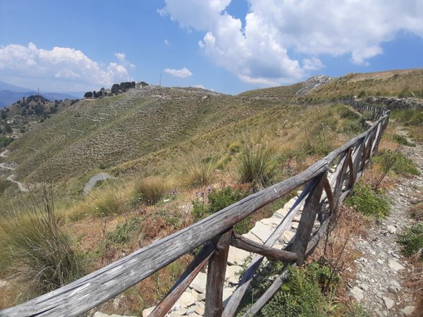terreno agricolo in vendita a Castelmola