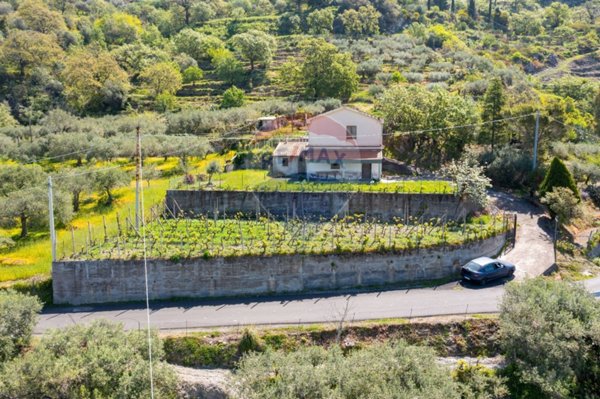 terreno agricolo in vendita a Castelmola