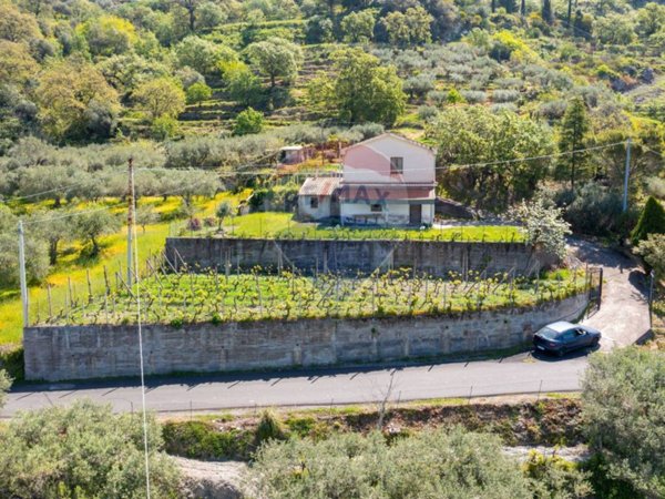 terreno agricolo in vendita a Castelmola