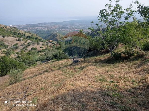 terreno agricolo in vendita a Castelmola