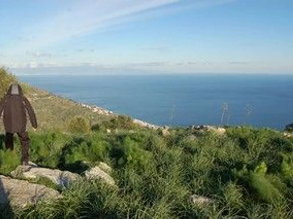 terreno agricolo in vendita a Castelmola