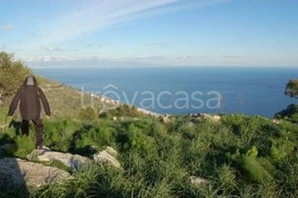 immagine annuncio 0 di 15