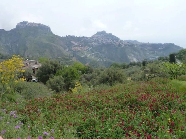 casa indipendente in vendita a Castelmola