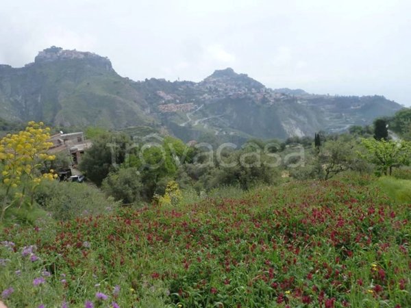 casa indipendente in vendita a Castelmola