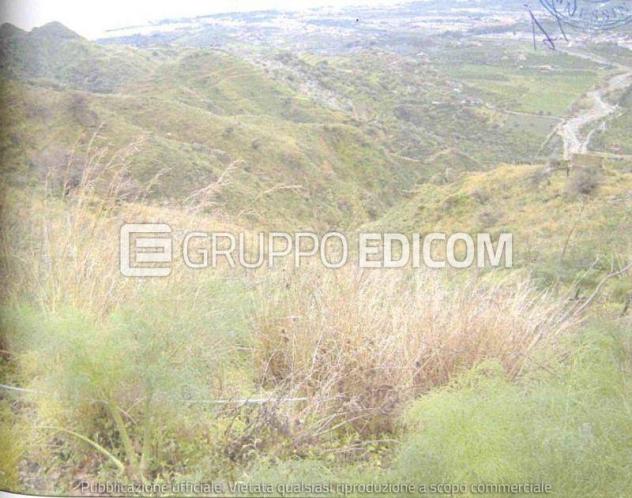 terreno agricolo in vendita a Castelmola