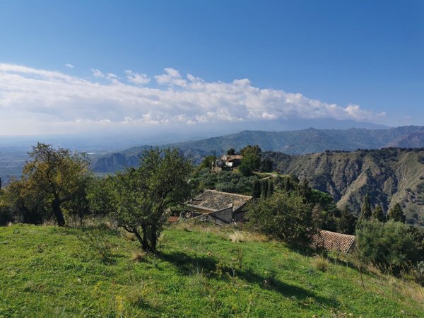 pentavano in vendita a Castelmola