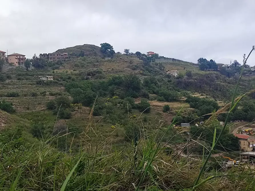 terreno agricolo in vendita a Castelmola