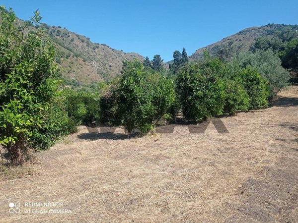 terreno in vendita a Castelmola