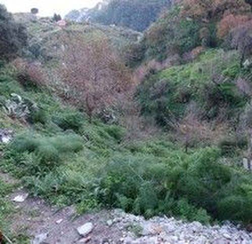terreno agricolo in vendita a Castelmola