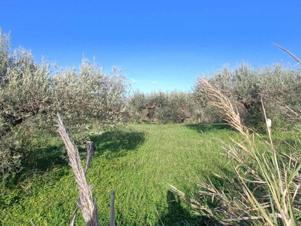 terreno agricolo in vendita a Castroreale