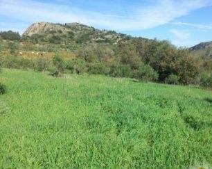 terreno agricolo in vendita a Castroreale