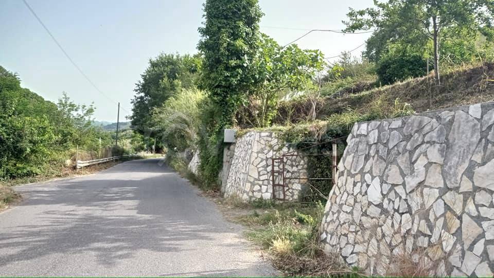 terreno agricolo in vendita a Condrò
