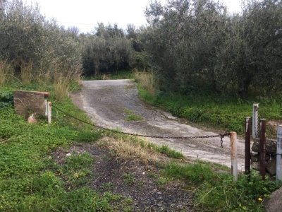 terreno agricolo in vendita a Condrò