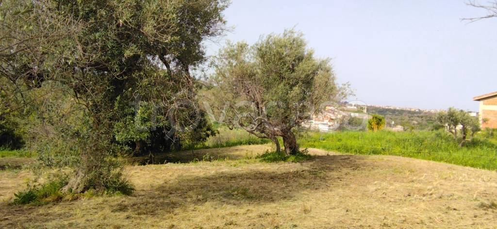 terreno agricolo in vendita a Condrò