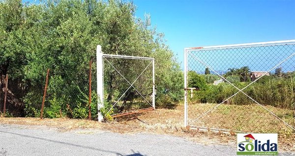 terreno agricolo in vendita a Condrò