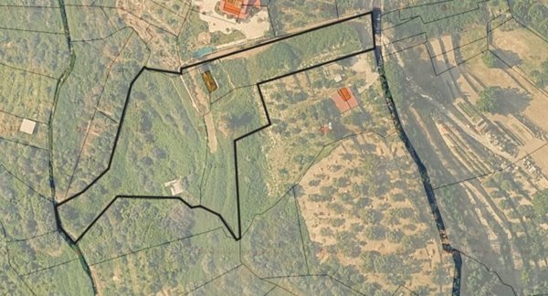 terreno agricolo in vendita a Condrò