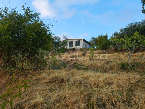 terreno agricolo in vendita a Condrò