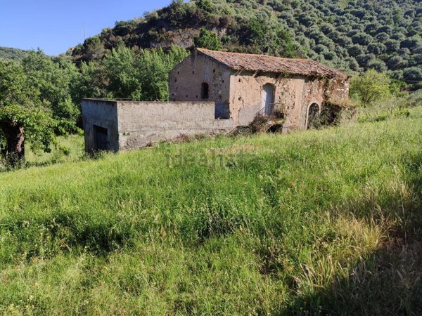 esavano in vendita a Falcone