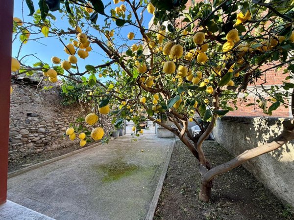 casa indipendente in vendita a Falcone