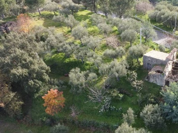 terreno agricolo in vendita a Ficarra