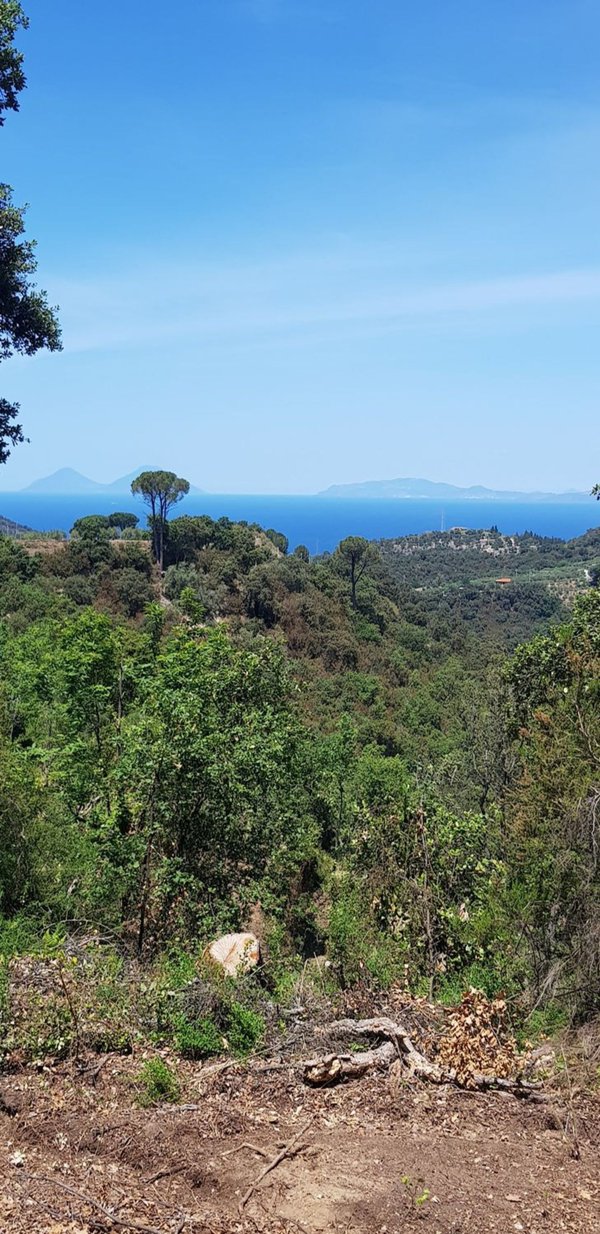 casale in vendita a Ficarra in zona Rinella