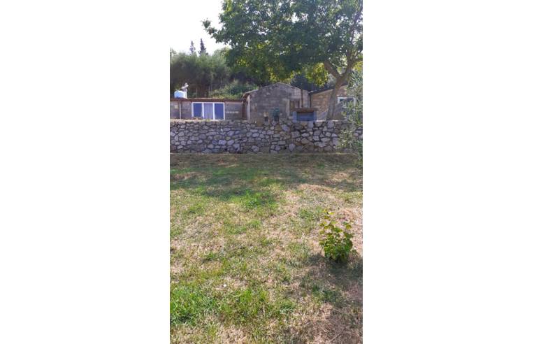 terreno agricolo in vendita a Ficarra