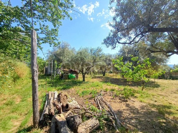 terreno agricolo in vendita a Ficarra in zona Sauro