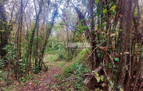 terreno agricolo in vendita a Ficarra in zona Sauro